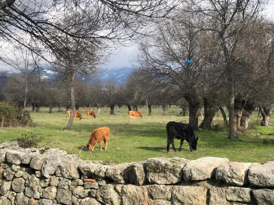 Apartamento Guadarrama, Atico Nuevo Con Espectaculares Vistas Exterior foto