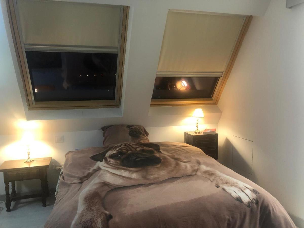 Apartamento Guadarrama, Atico Nuevo Con Espectaculares Vistas Exterior foto